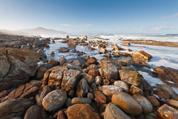 Along the Shore Along the Shore