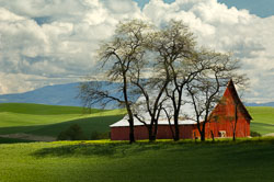 Rural Artforms Rural Artforms